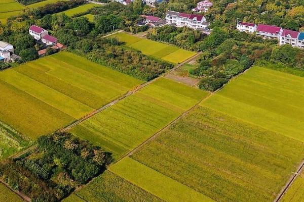 中国农业居于弱势地位的主要表现，基础处于小农经济且比较分散而粗放