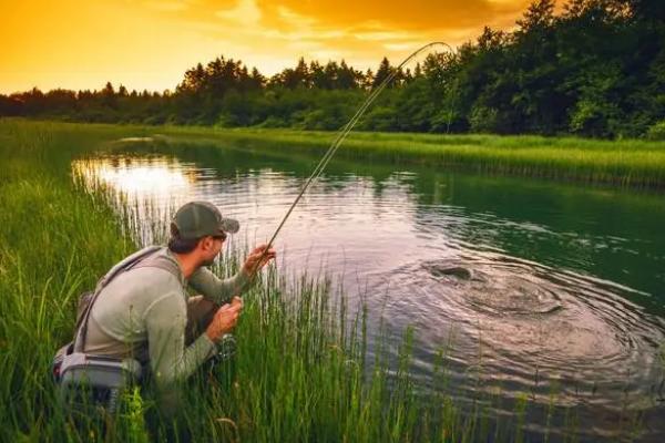 野钓是不是一定要打窝，可以不打窝但是打窝的效果更好