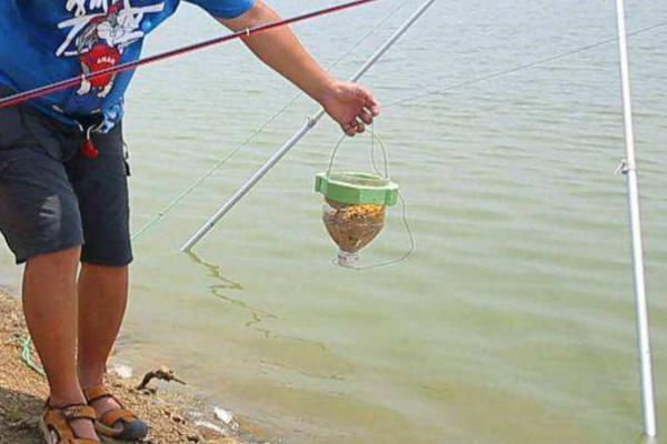 冬季钓鲫鱼怎么打隔夜窝，用带有浓重味道的物质打窝更合适