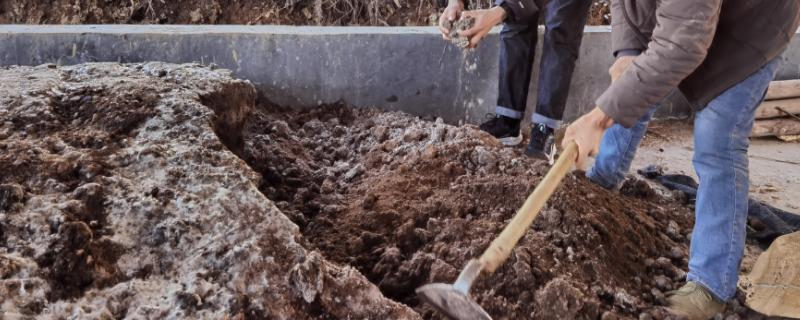 饼肥的发酵方法