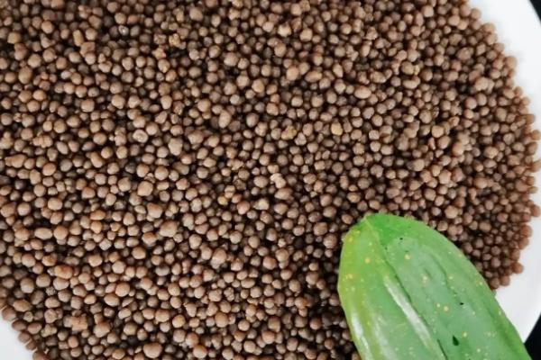 磷酸二铵效果为什么不好，连续单一施用则效果会变差