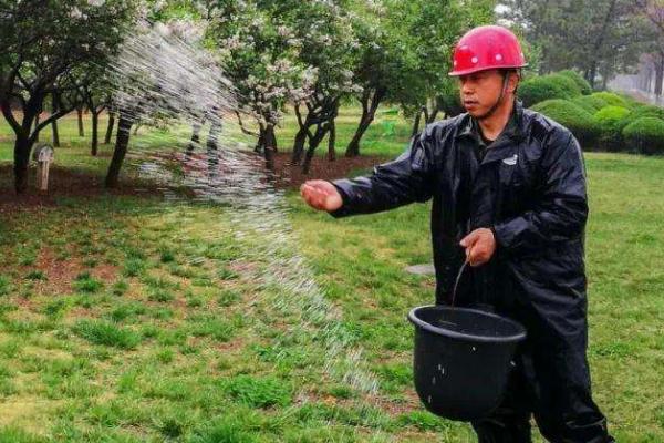 磷酸二铵效果为什么不好，连续单一施用则效果会变差