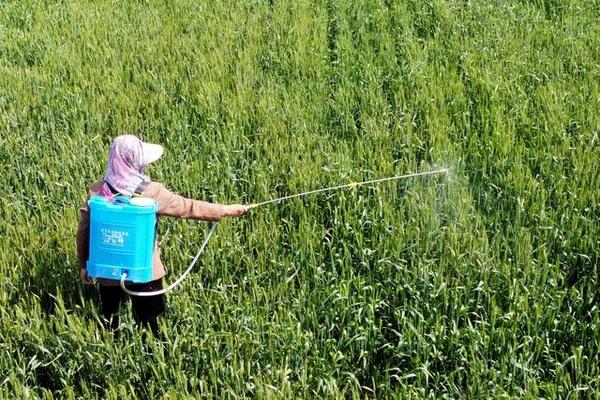 多菌灵的使用方法，针对不同作物的使用方法不同