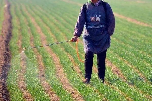 多菌灵的使用方法，针对不同作物的使用方法不同