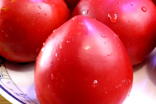 各类作物的需肥特点，要根据作物的特点及收获物的不同而施肥