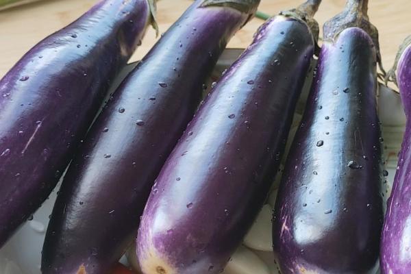 各类作物的需肥特点，要根据作物的特点及收获物的不同而施肥