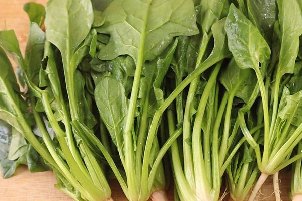 各类作物的需肥特点，要根据作物的特点及收获物的不同而施肥