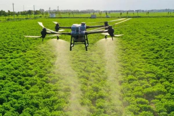 烟田雨季如何使用农药，可选用内吸性或性的农药