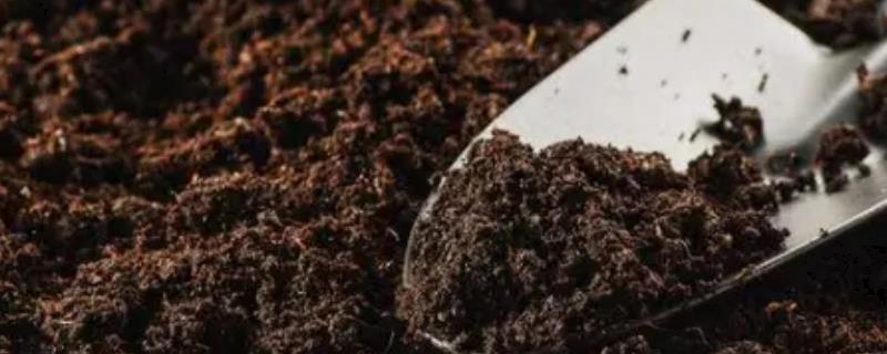 微生物肥料有什么作用