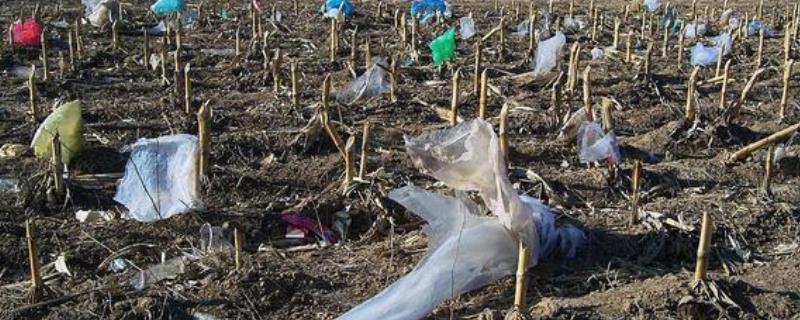 农业生产中造成的污染有哪些