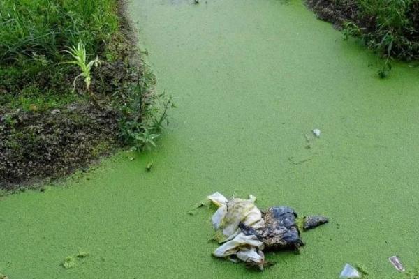 农业生产中造成的污染有哪些，包括过量施用农药、化肥等