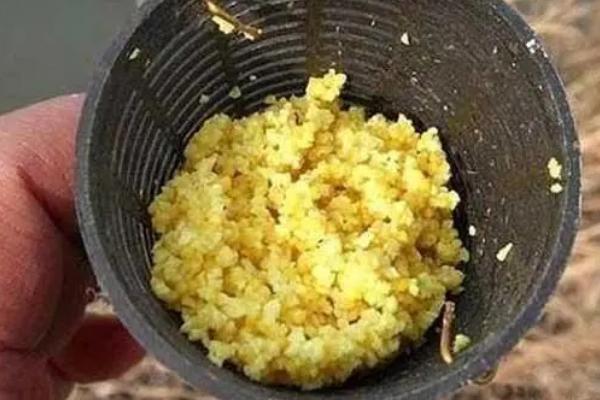 水库用什么打窝，谷物加酒米效果好