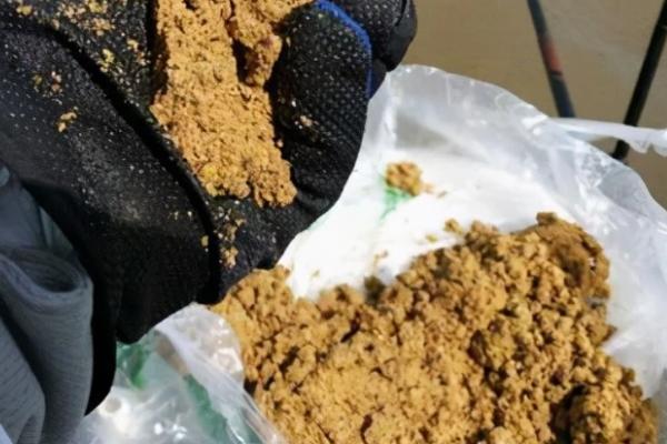 水库用什么打窝，谷物加酒米效果好
