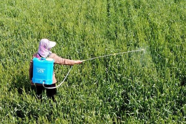 杀虫剂的种类，按成分可分为无机杀虫剂、有机杀虫剂、微生物杀虫剂