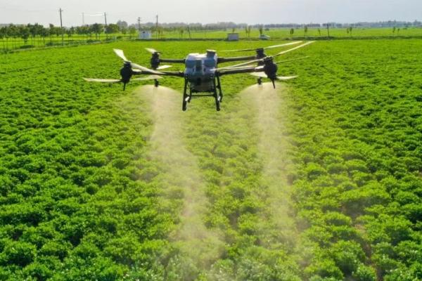 杀虫剂的种类，按成分可分为无机杀虫剂、有机杀虫剂、微生物杀虫剂
