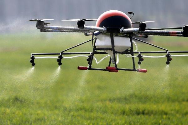 杀虫剂的种类，按成分可分为无机杀虫剂、有机杀虫剂、微生物杀虫剂