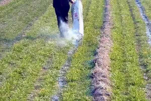 无公害蔬菜防虫方法，这三种方法需掌握