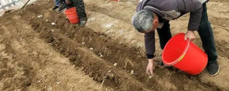 夏天怎么保存化肥