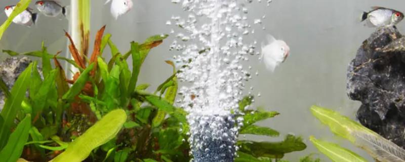 气泡石不出气的原因
