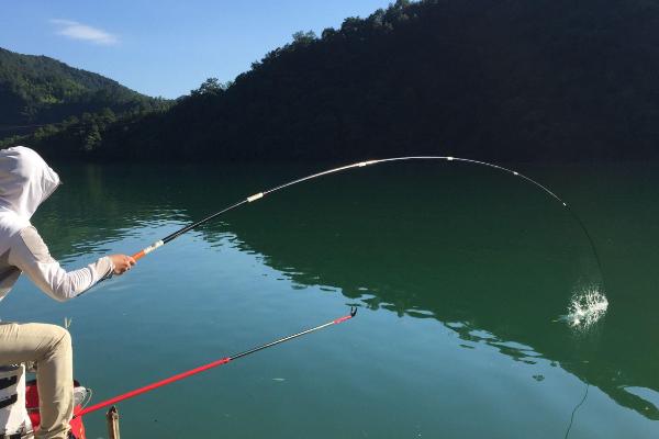 钓鱼的适宜时间，夏季可在早上7-9点垂钓