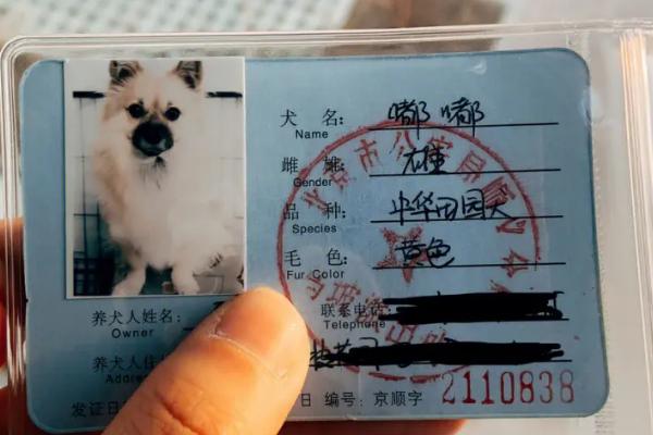 狗证可以异地使用吗，狗证是全国通用的