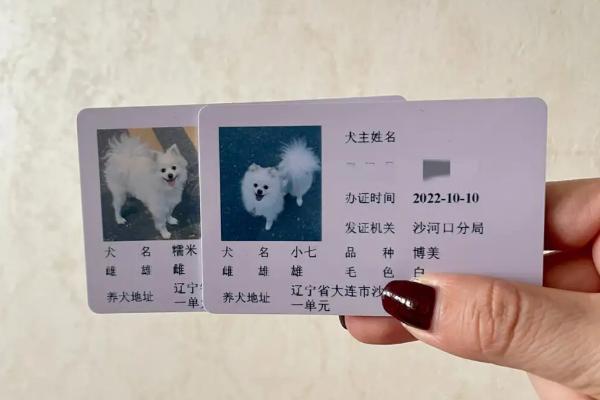 狗证可以异地使用吗，狗证是全国通用的