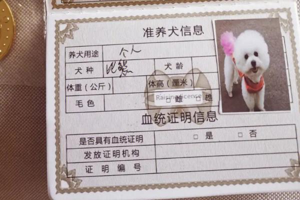 狗证可以异地使用吗，狗证是全国通用的