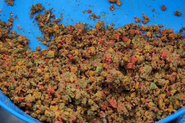 饵料和窝料是不是同一种东西，有区别但也有共同点