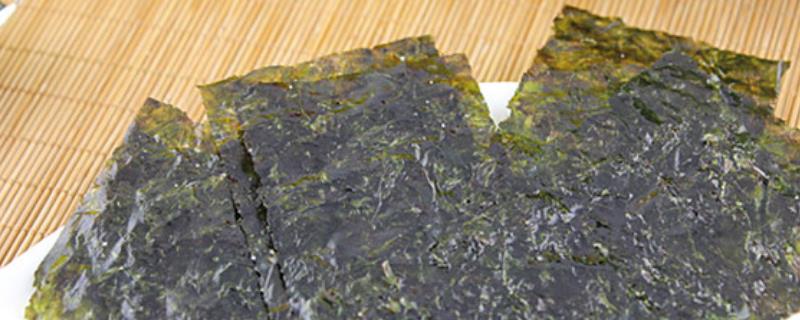 海苔是不是紫菜
