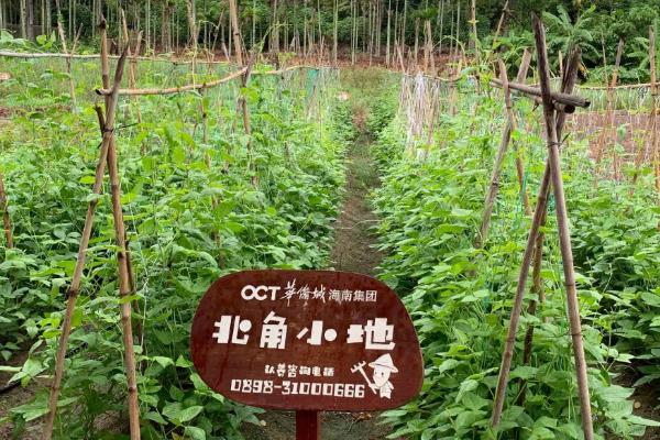 注册家庭农场的方法，需根据经济形式提交相关材料
