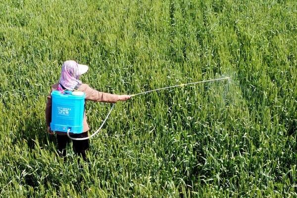 微生物菌剂的作用，可以为作物提供养分、增强抗逆性能