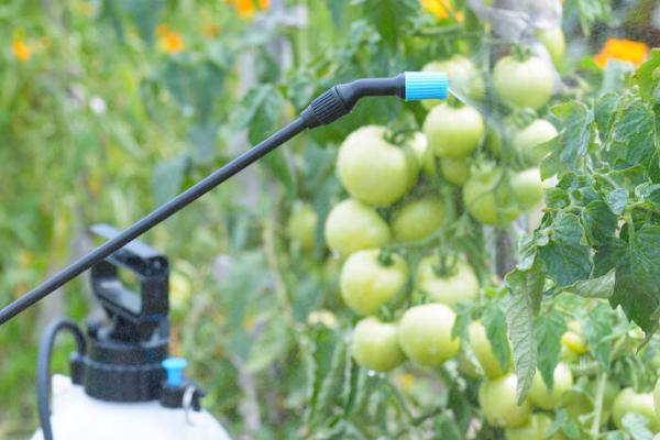 微生物菌剂的作用，可以为作物提供养分、增强抗逆性能
