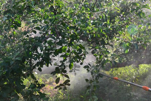 微生物菌剂的作用，可以为作物提供养分、增强抗逆性能