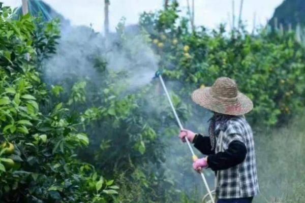 微生物菌剂的作用，可以为作物提供养分、增强抗逆性能