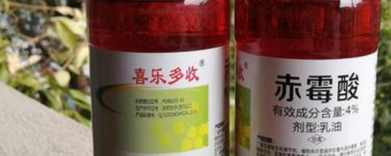 赤霉酸有什么作用
