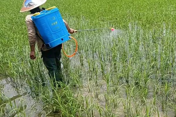 赤霉酸有什么作用，可打破种子的休眠期、刺激植物生长