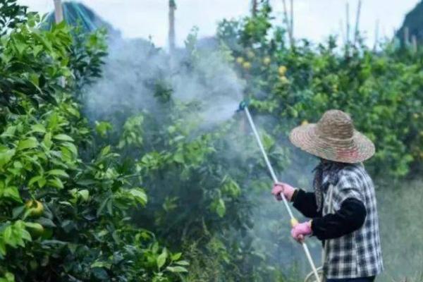 混用甲壳素类肥料要注意什么，禁止颠倒混配顺序