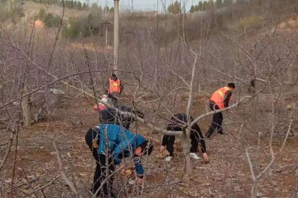 采摘梨果后怎么清园，需深翻土壤、清扫落叶并集中烧毁