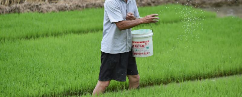 肥料和土壤的酸碱性有何影响