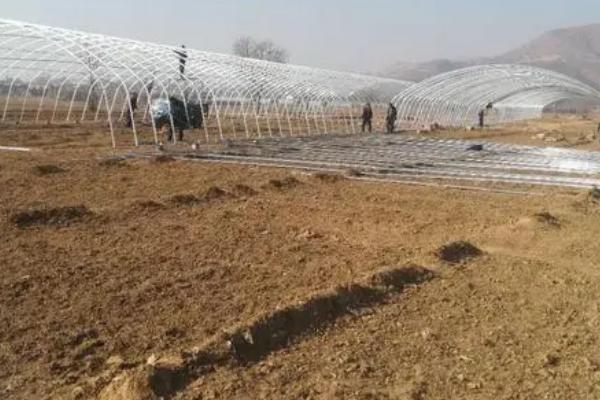 改良土壤的方法，可增施有机肥、控制化肥用量