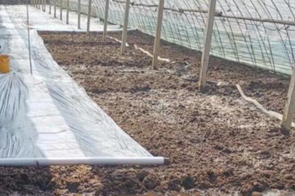 改良土壤的方法，可增施有机肥、控制化肥用量
