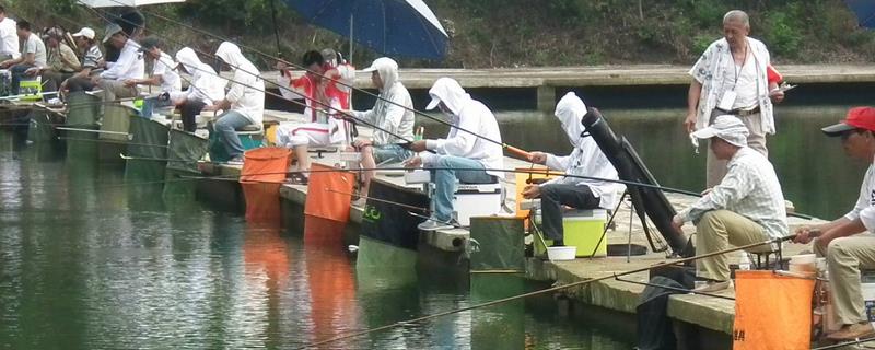 冬天是否容易垂钓鲢鳙