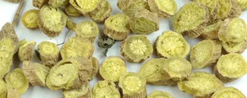 黄芩的亩产量