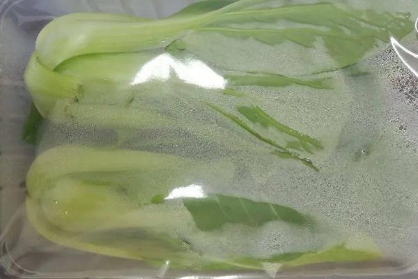 油菜能否放在冰箱中保存，放入冰箱中可保鲜5天左右