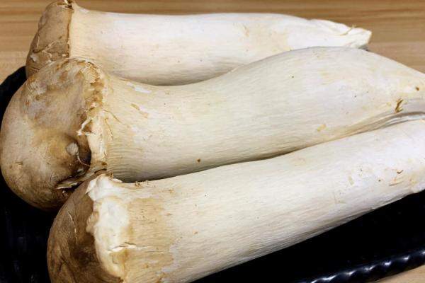 油菜能否放在冰箱中保存，放入冰箱中可保鲜5天左右