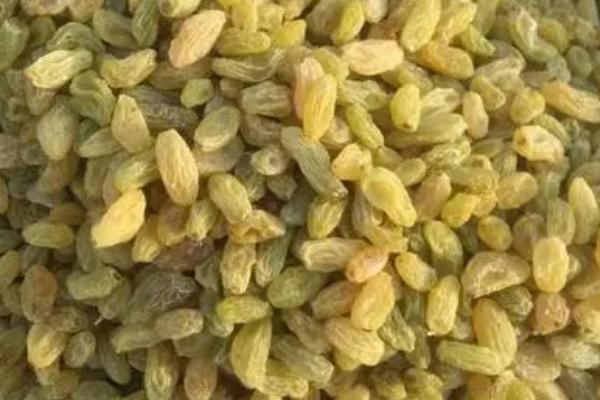吐鲁番的葡萄何时成熟，通常在8月份下旬成熟收获