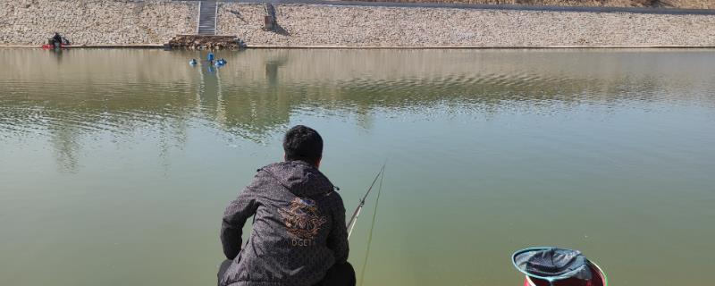 黑坑钓鲤鱼用什么鱼线