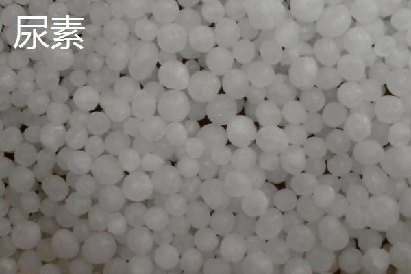 肥料放置过久是否会失效，存放得当时一般不会失效