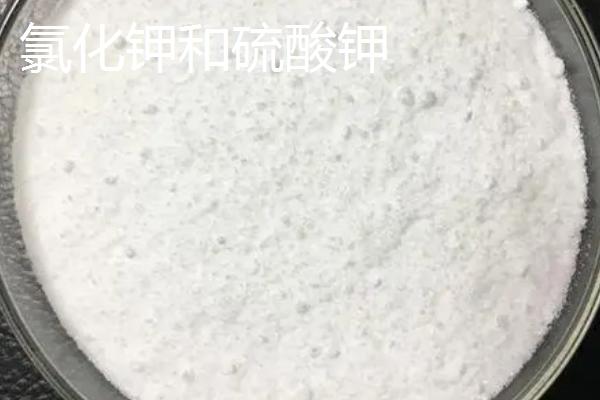 肥料放置过久是否会失效，存放得当时一般不会失效