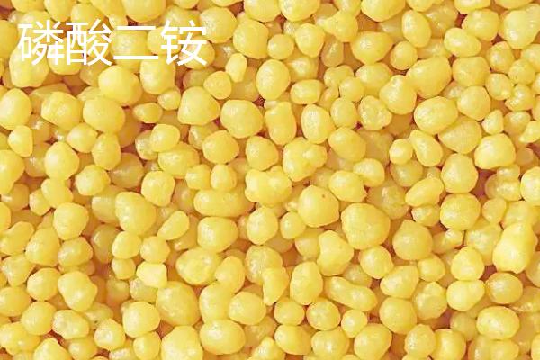 肥料放置过久是否会失效，存放得当时一般不会失效